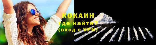 соль ск Медногорск